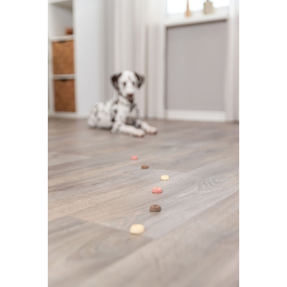Cookie Loops | Snacks Veganos para Perros 1,3 kg