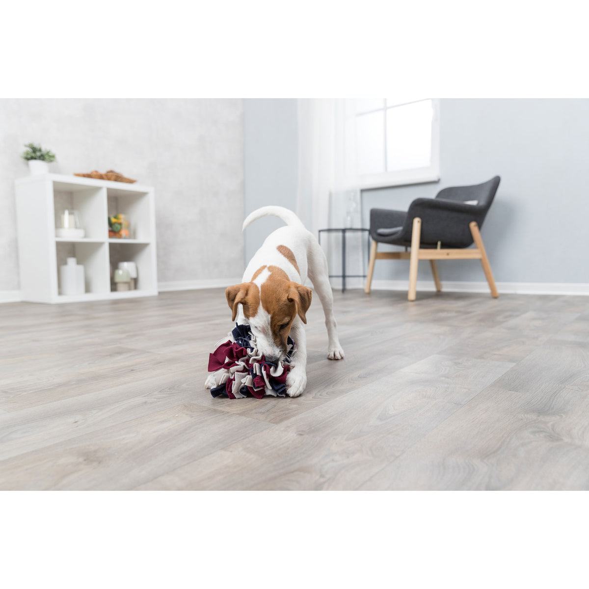 Kizuna Rastro | Pelota olfativa para perros