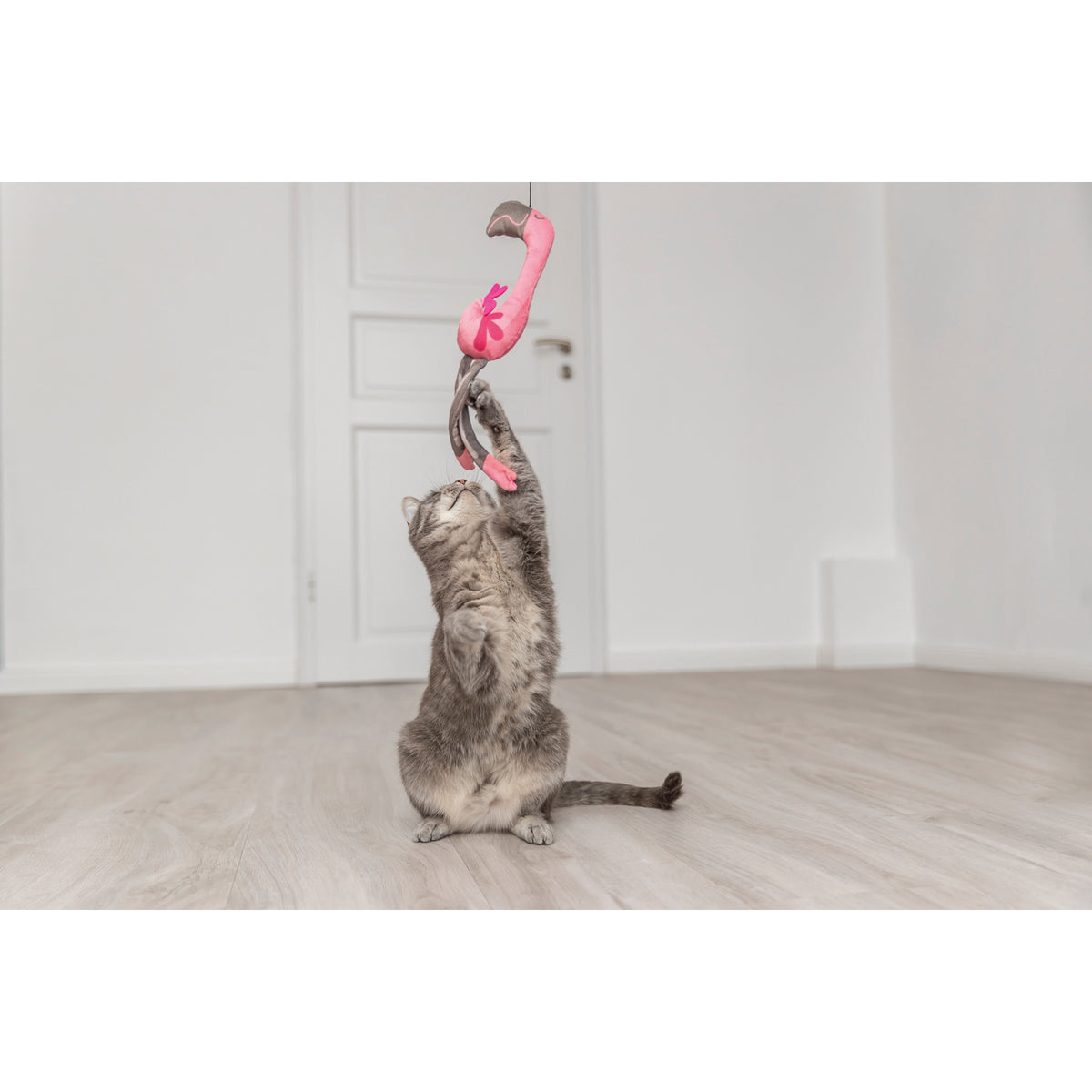 Caña Telescópica con Flamenco para Gatos | KIZUNA