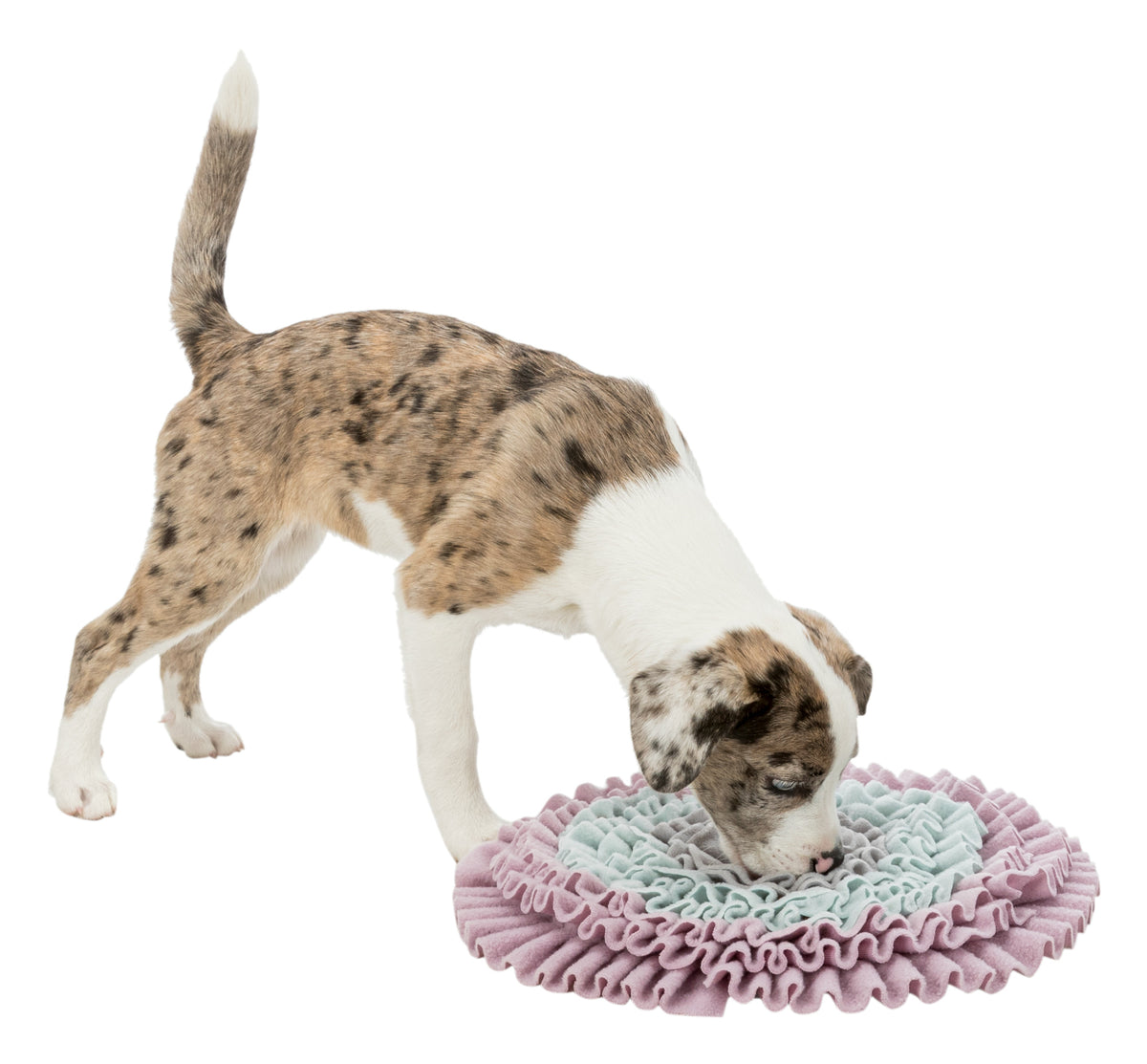 Kizuna Primer Rastro | Alfombra olfativa para cachorros y gatitos