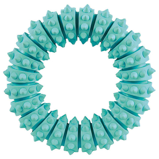 Kizuna Denta Fun | Anillo mordedor para perros