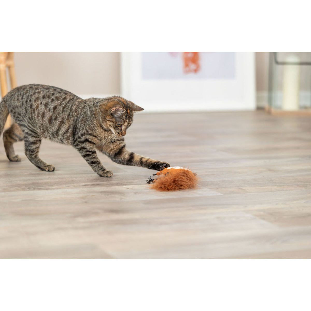 Ardilla con Cola | Juguete para Gatos con Clip