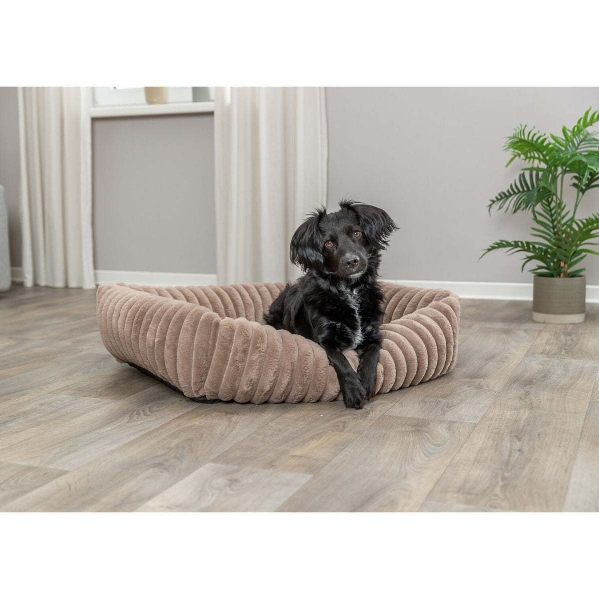 KIZUNA Lonni | Cama Acolchada de Felpa Suave