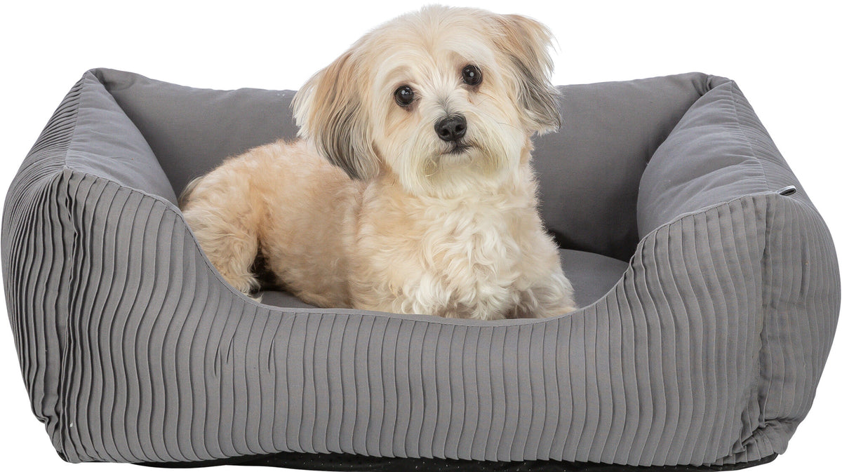 KIZUNA Marley | Cama Acolchada Premium para Perros