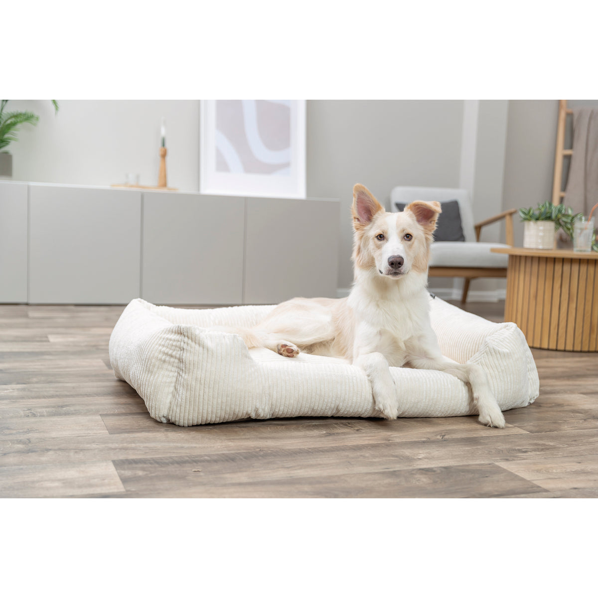 KIZUNA Vital | Cama Ortopédica Viscoelástica para Perros
