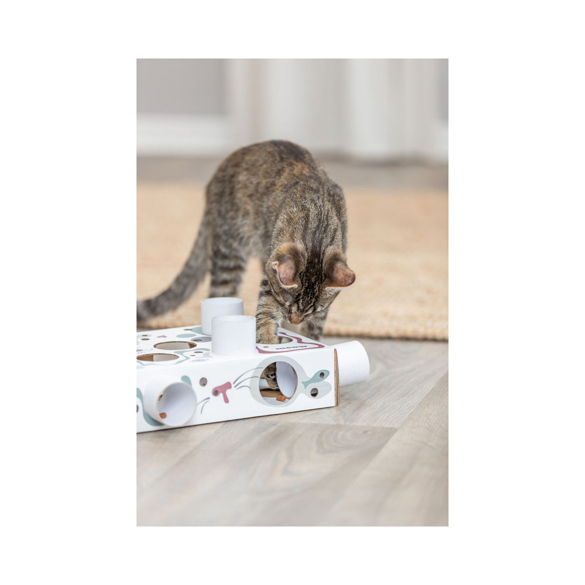 Caja Interactiva de Premios para Gatos Paws’n’Treats | KIZUNA