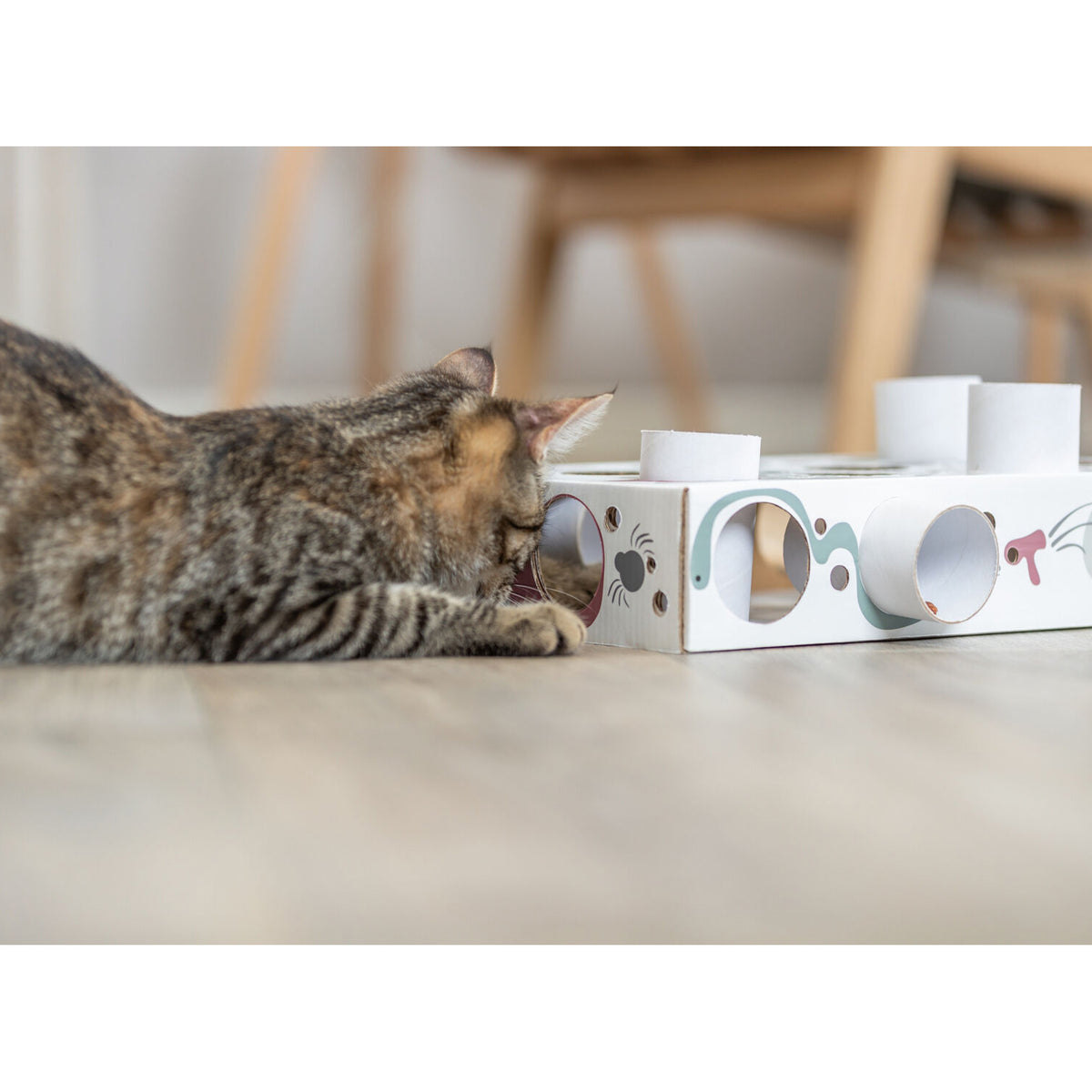 Caja Interactiva de Premios para Gatos Paws’n’Treats | KIZUNA
