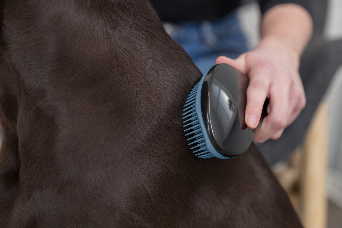 KIZUNA SoftBrush | Cepillo Suave Desenredante para Perros y Gatos