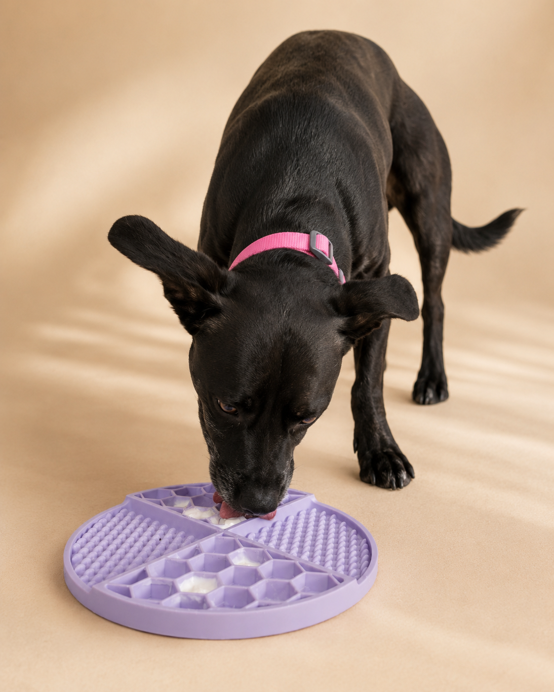 KIZUNA LickiMat | Alfombrilla Interactiva para Lamer Lila