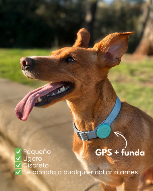 Kizuna Guardian GPS | Localizador Inteligente para Perros y Gatos Azul