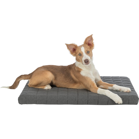 KIZUNA VitalMemory | Colchón Ortopédico Viscoelástico para Perros