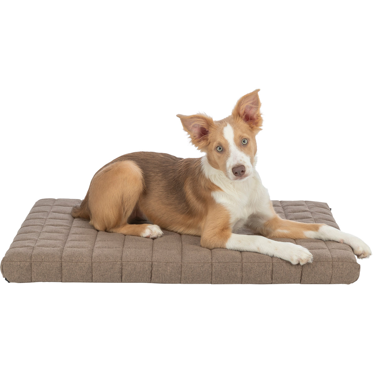 KIZUNA VitalMemory | Colchón Ortopédico Viscoelástico para Perros