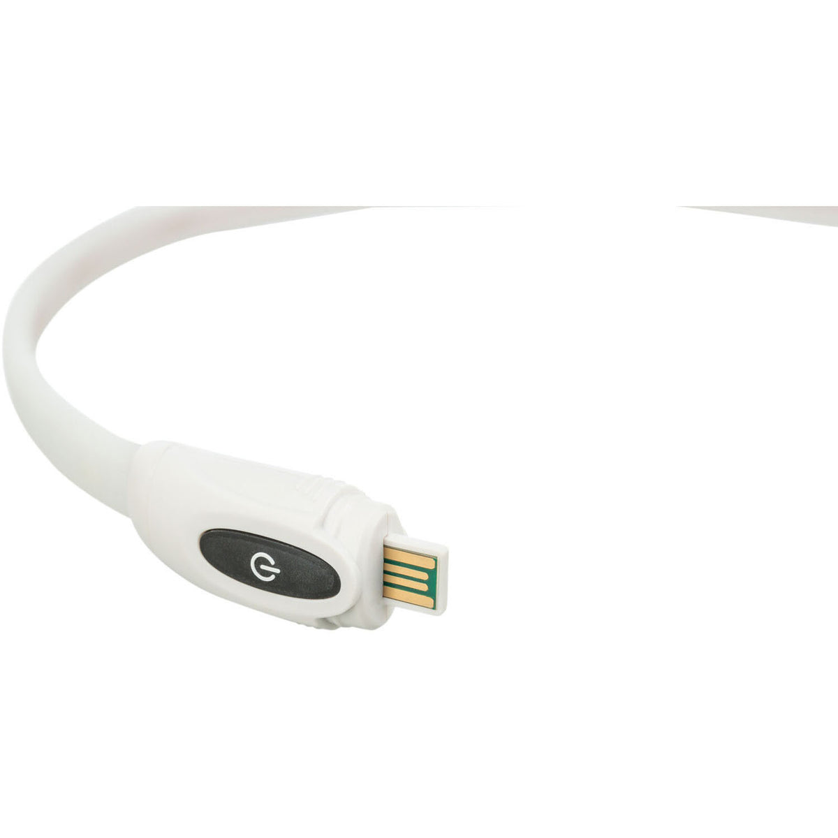 Kizuna Brilla Color | Collar luminoso multicolor USB para perros