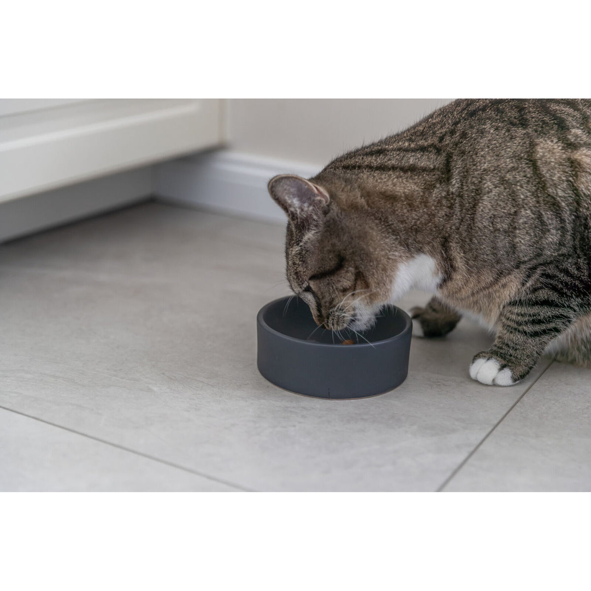 KIZUNA PureBowl | Comedero de Cerámica Minimalista para Gatos