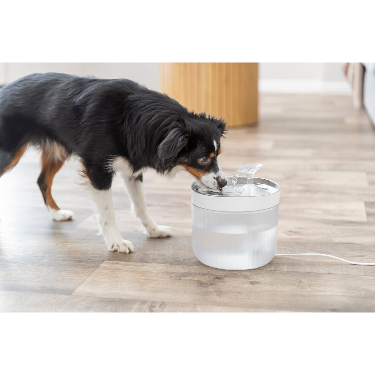 KIZUNA AquaFlow™ | Fuente Automática de Agua para Perros y Gatos