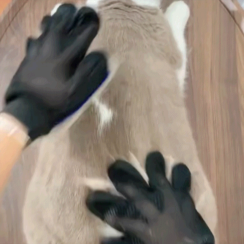 KIZUNA FurGlove | Guante Quitapelos