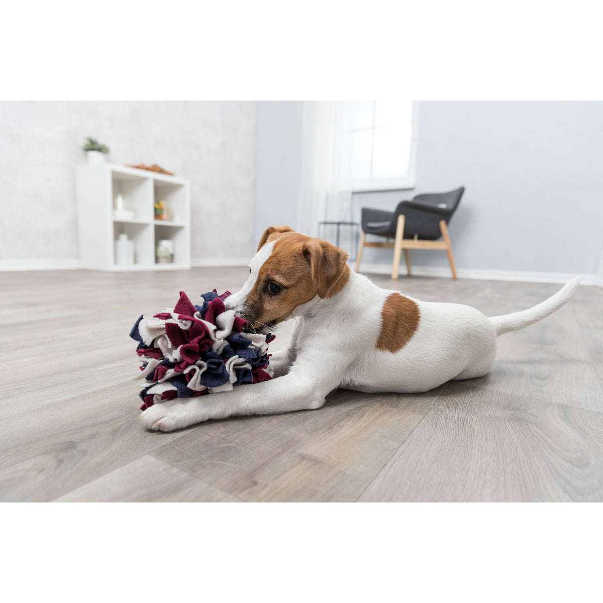 Kizuna Rastro | Pelota olfativa para perros