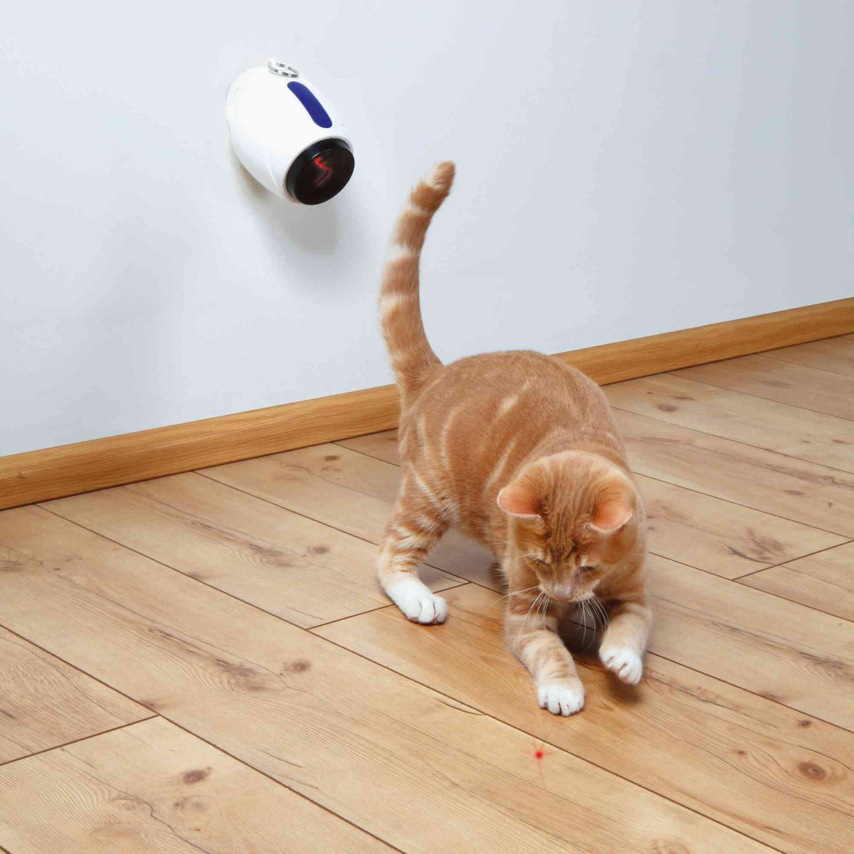 Juguete Láser Automático para Gatos | Moving Light