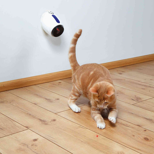 Juguete Láser Automático para Gatos | Moving Light