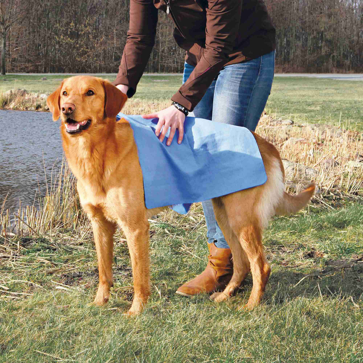 DryPet | Toalla Súper Absorbente para Perros y Gatos