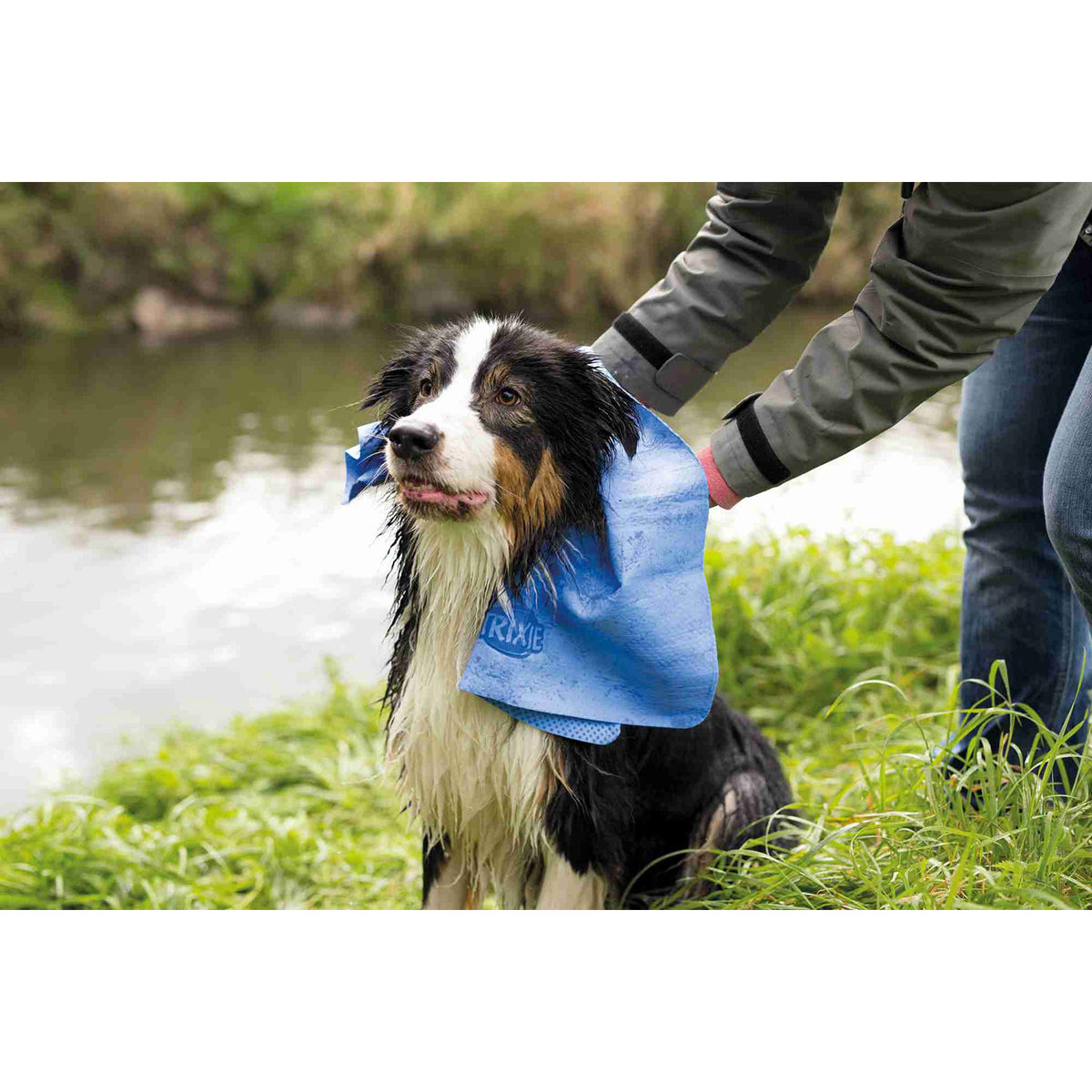 DryPet | Toalla Súper Absorbente para Perros y Gatos